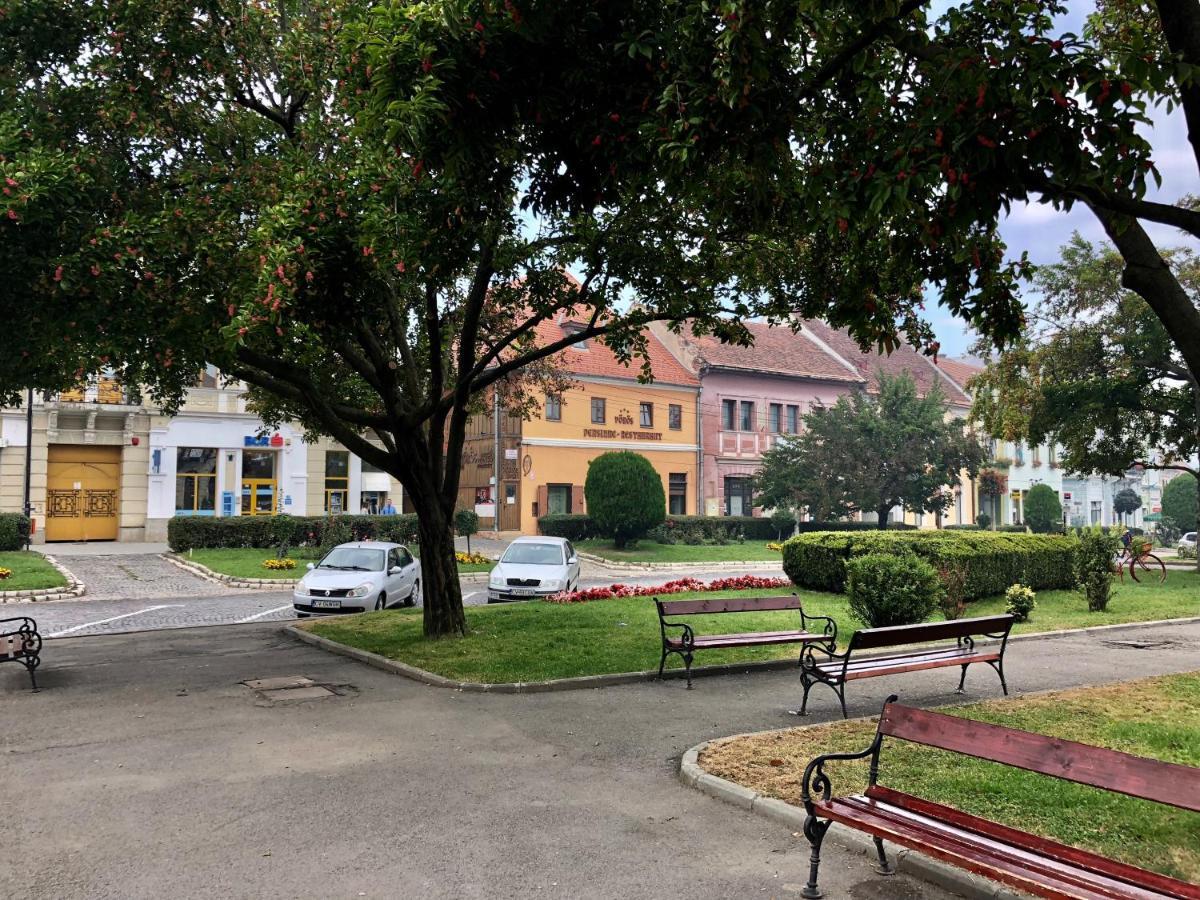 Voeroes Guest House Targu Secuiesc Bagian luar foto