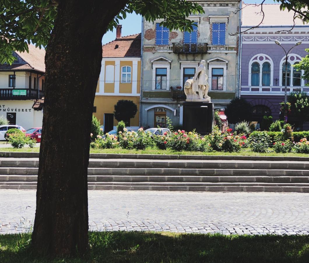 Voeroes Guest House Targu Secuiesc Bagian luar foto