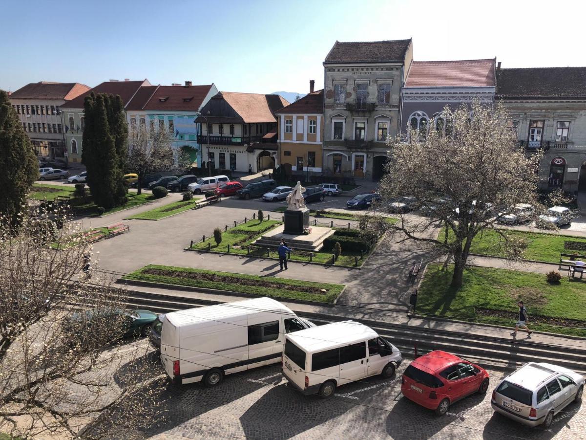 Voeroes Guest House Targu Secuiesc Bagian luar foto