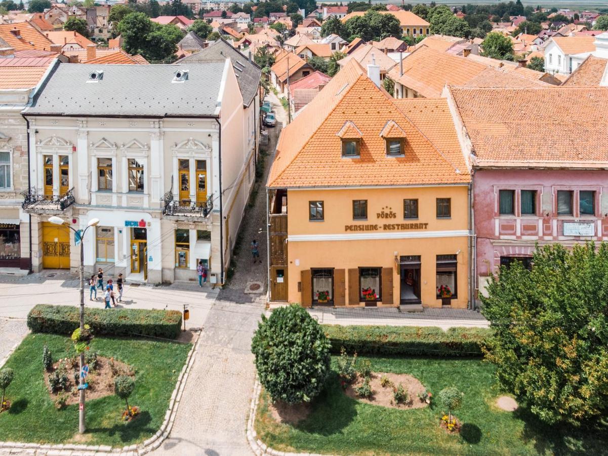 Voeroes Guest House Targu Secuiesc Bagian luar foto