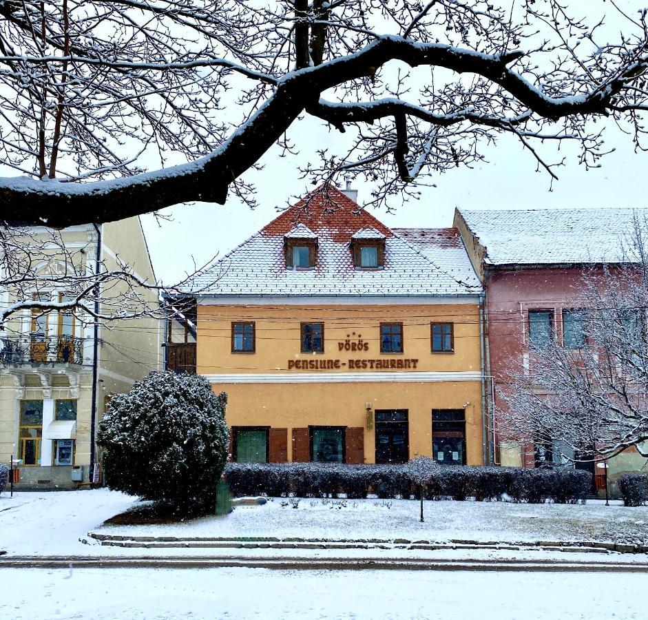 Voeroes Guest House Targu Secuiesc Bagian luar foto