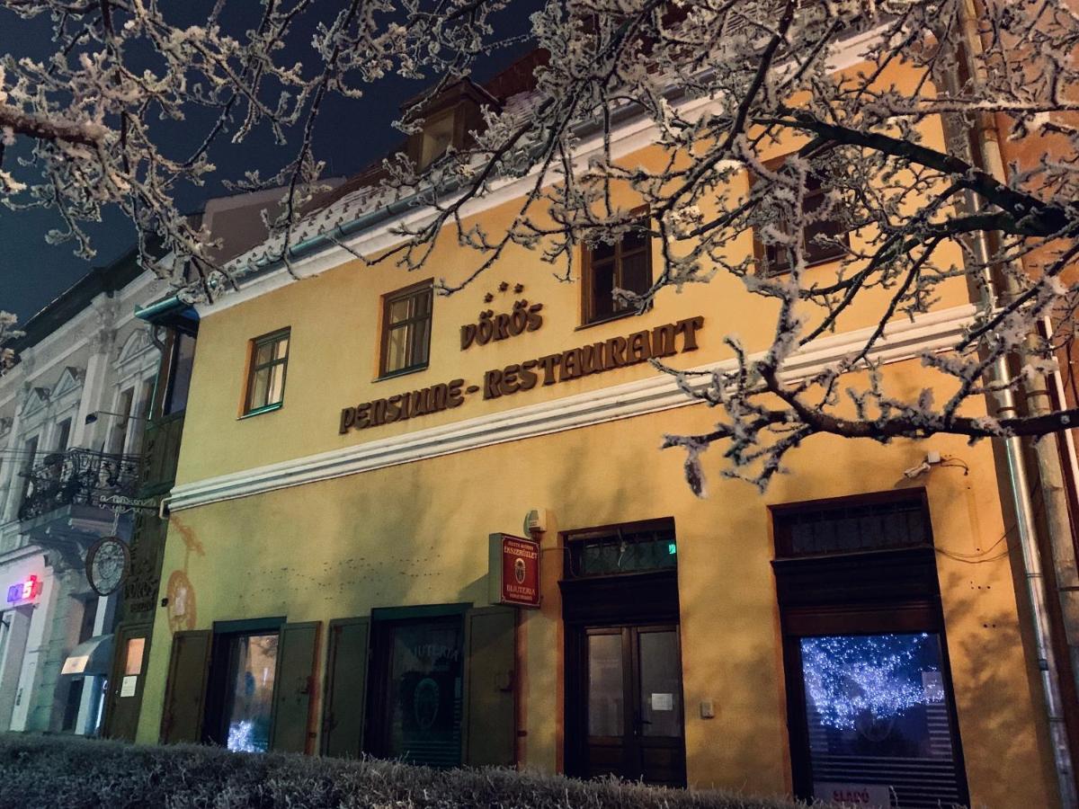 Voeroes Guest House Targu Secuiesc Bagian luar foto